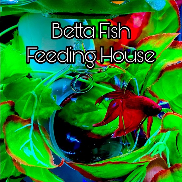 🔥Betta fish feeding house. No more messy tanks. - Picture 4 of 17